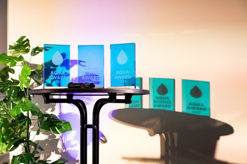 Bild der drei AQUA AWARD Trophäen bei der Vergabe 2025